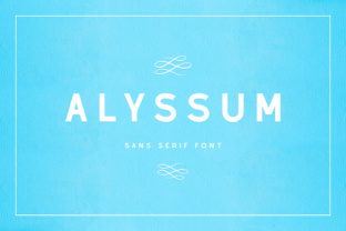Alyssum: A Delicate Sans Serif Font for Modern Branding