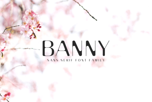 Banny Sans Serif Family: A Vintage-Inspired Typeface Review