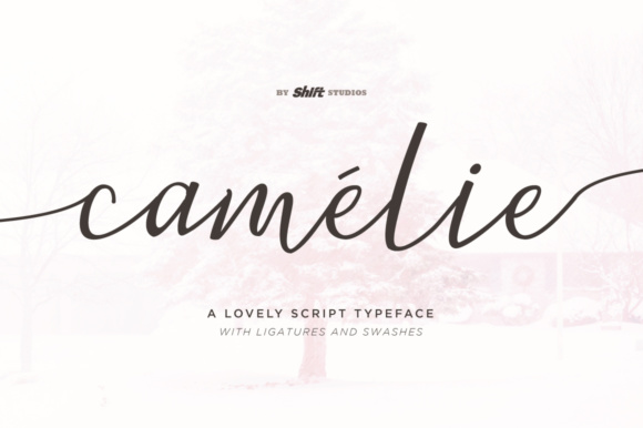Camelie: A Bouncy Script Font for Makers