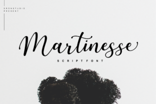 Martinesse Script Font for Modern Branding