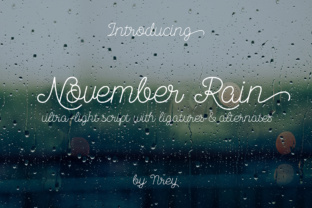 November Rain: A Simple Script Font for Modern Brands