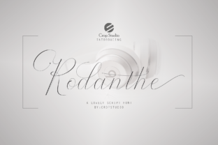 Rodanthe Duo Font for Modern Branding