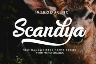 Scandya Script: A Handwritten Typeface for Makers