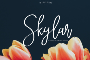 Skylar: The Casual Script Font for Unique Branding